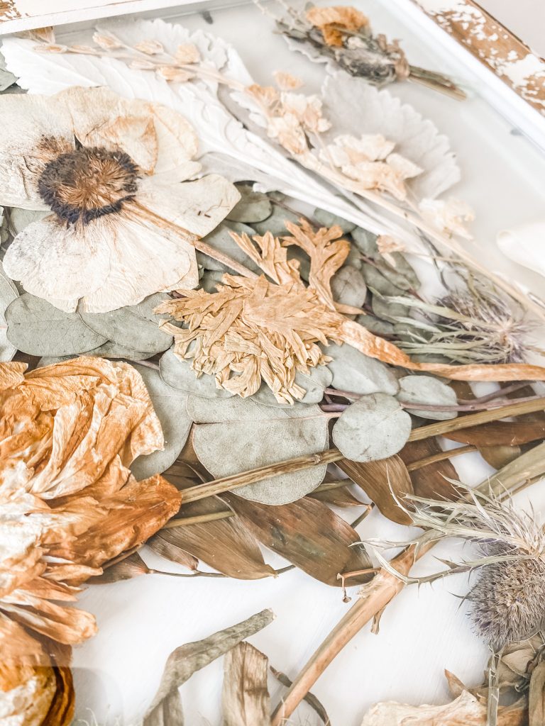dried flowers close up