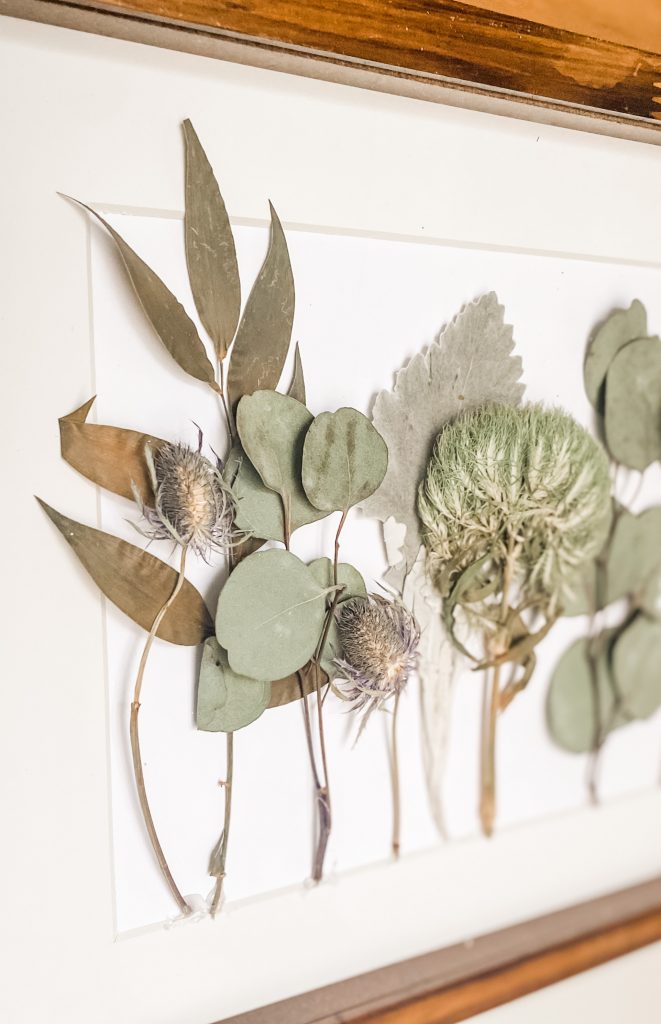 close up of dried greenery in deep frame shadow box bloombeautifullyco