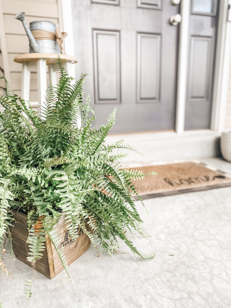 A fern in a wooden planter on a porch with a still, rug, and door in background